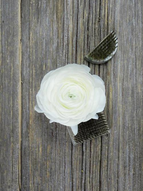 ELEGANCE BIANCO WHITE RANUNCULUS